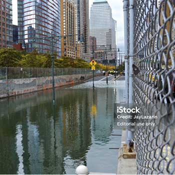 State-NewYork-350x350 State of New York